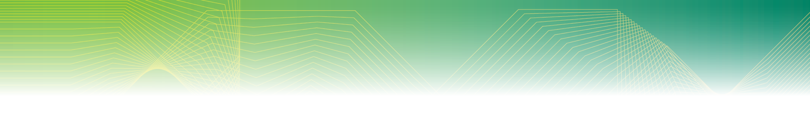 decorative green section divider