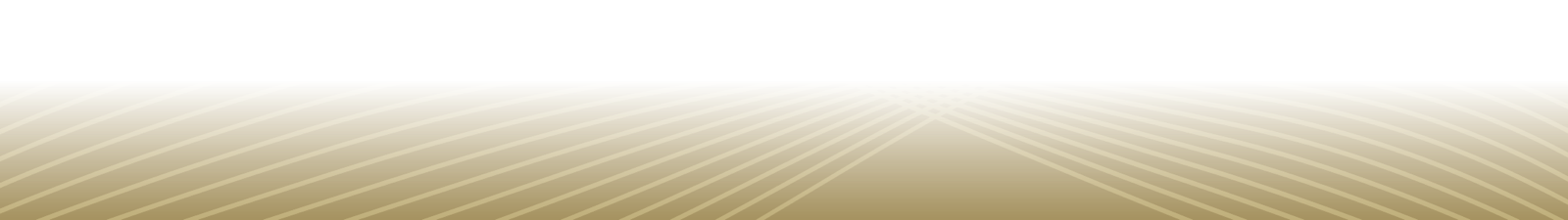 Decorative gold gradient divider